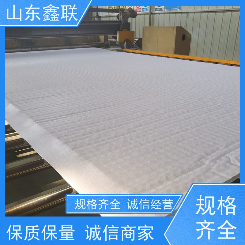 鑫联新材料 虹吸雨水排放系统 严选自营 PED15高分子防护排水异型片
