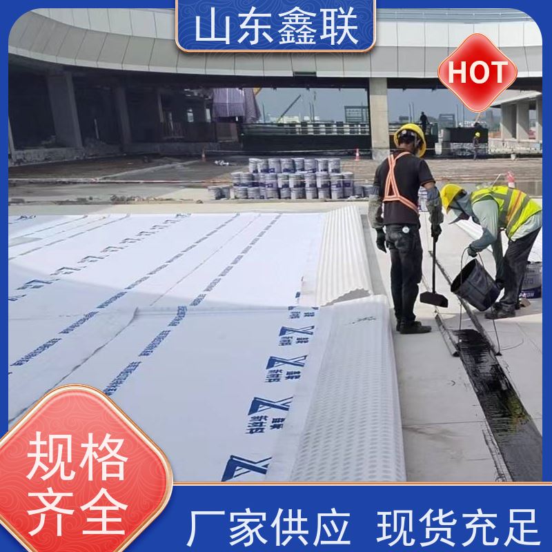 鑫联新材料 地下车库顶板虹吸排水工程 设计院认可 20高分子异型片材