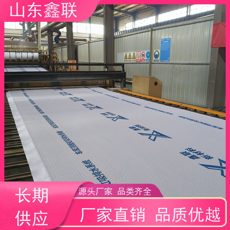 鑫联新材料 种植屋面虹吸排水系统 厂家施工指导 20高分子异型片材