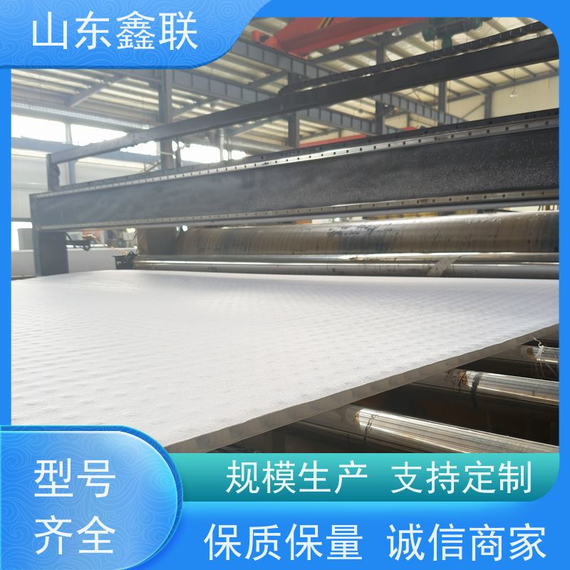 鑫联新材料 车库虹吸系统 百亩面积厂商 复合高分子防护排水异形片