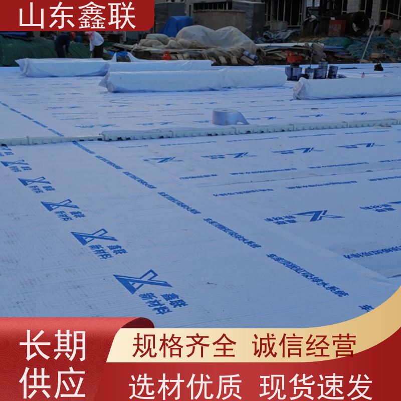鑫联新材料 防护虹吸排水收集系统 百亩面积厂商 20高分子异型片材