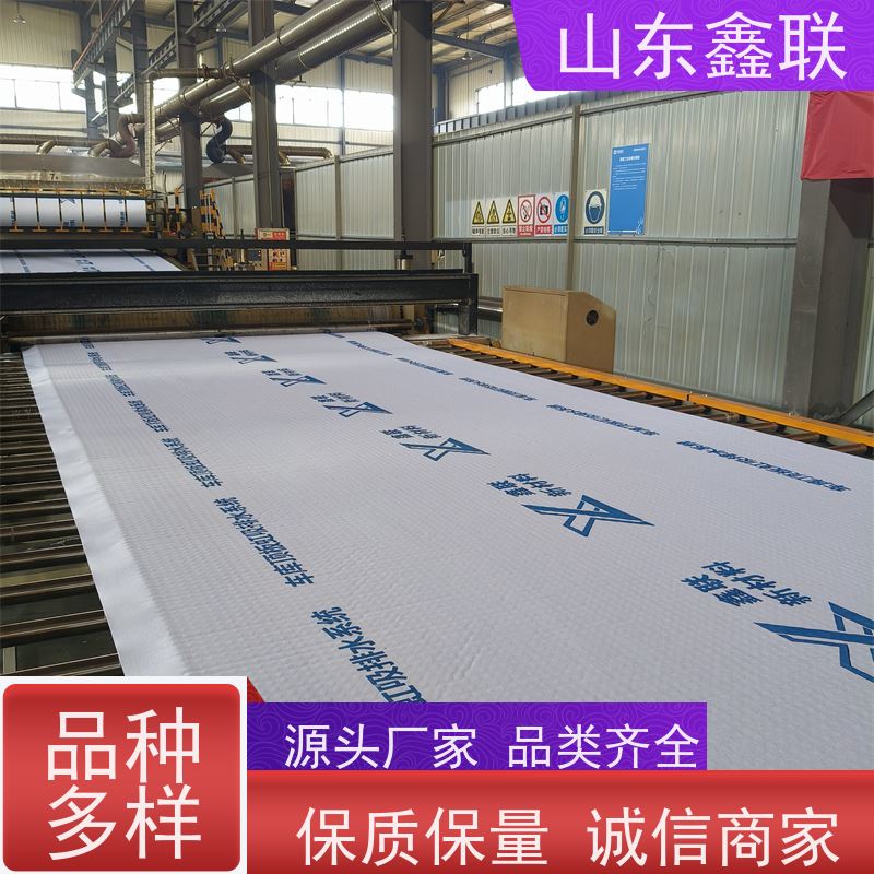 鑫联新材料 防护虹吸排水收集系统 专注生产供应 20高分子异型片材