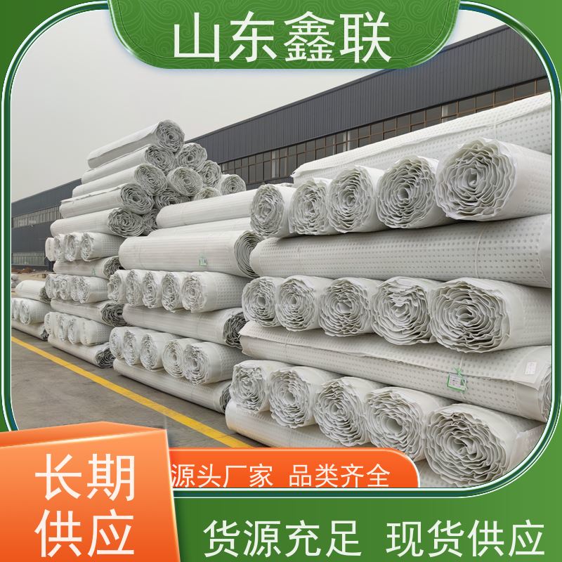 鑫联新材料 虹吸雨水排放系统 严选自营 H20高分子防排水保护异形片