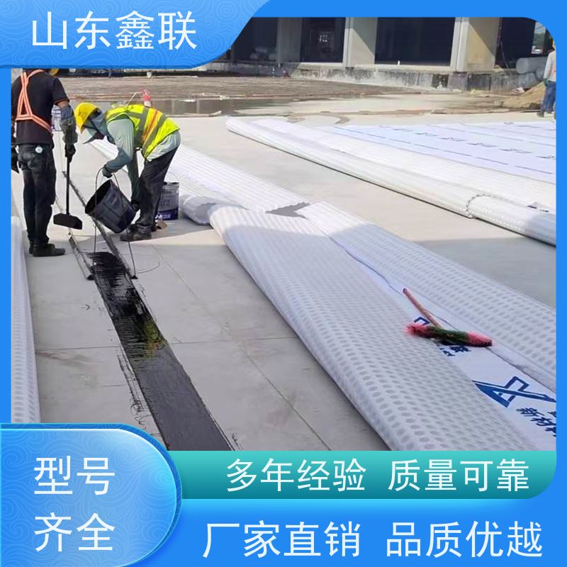 鑫联新材料 有序虹吸排水系统 大厂实力批发 20高分子异型片材