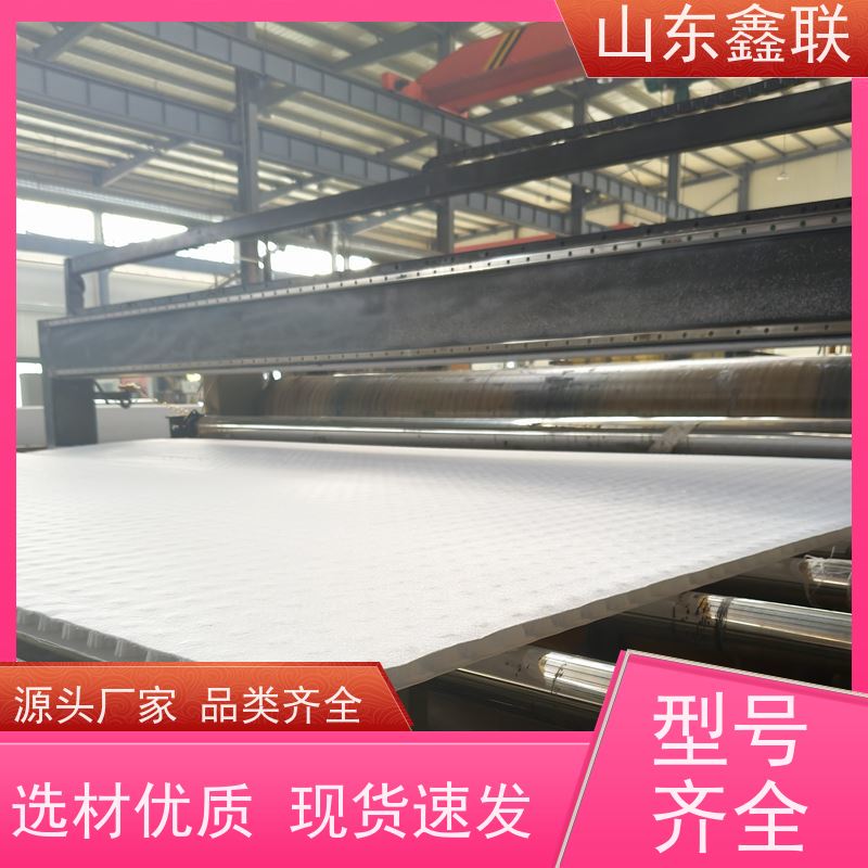 鑫联新材料 虹吸排水板施工 大厂实力批发 H30双面排蓄水异形片