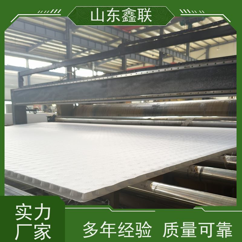 鑫联新材料 车库虹吸系统 专注生产供应 复合高分子防护排水异形片
