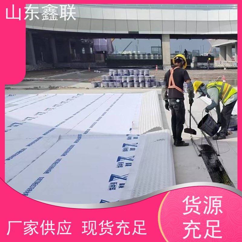 鑫联新材料 车库顶板虹吸排水 大厂实力批发 15高板布一体疏水板