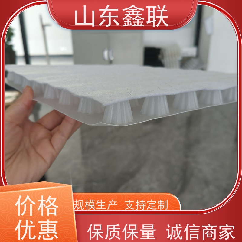 鑫联新材料 车库虹吸系统 中国绿色建材 复合高分子防护排水异形片