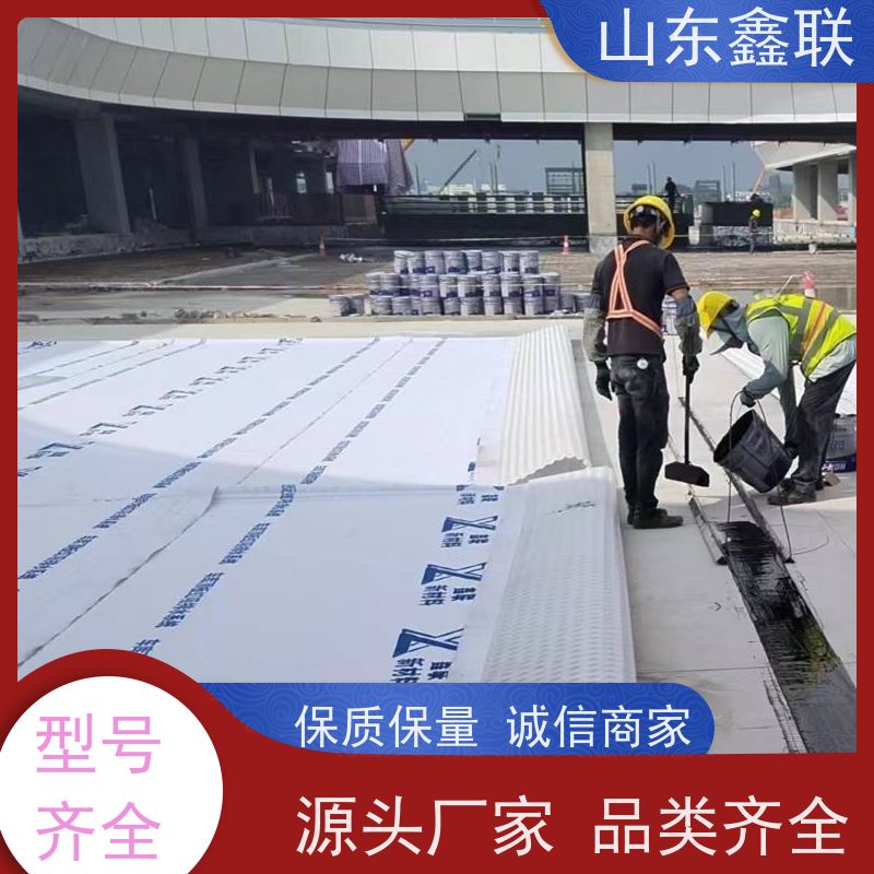 鑫联新材料 虹吸雨水排放系统 科研创新 H25双面抗压排水异形片