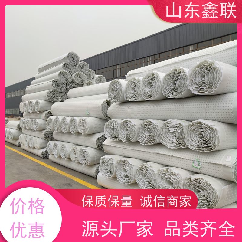 鑫联新材料 虹吸雨水排放系统 科研创新 PED15高分子防护排水异型片