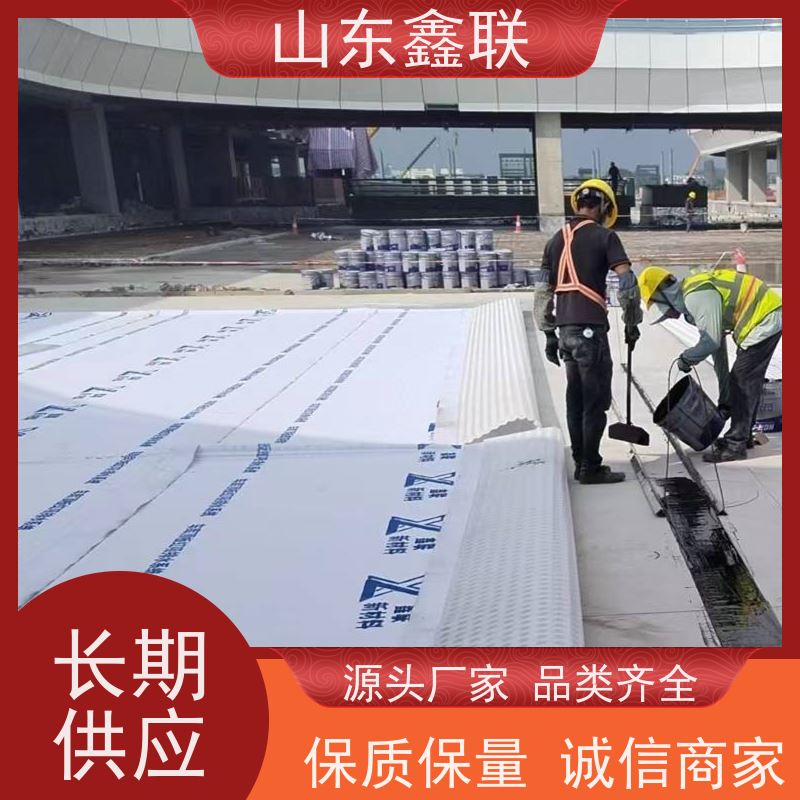 鑫联新材料 防护虹吸排水系统 严选自营 15高板布一体疏水板