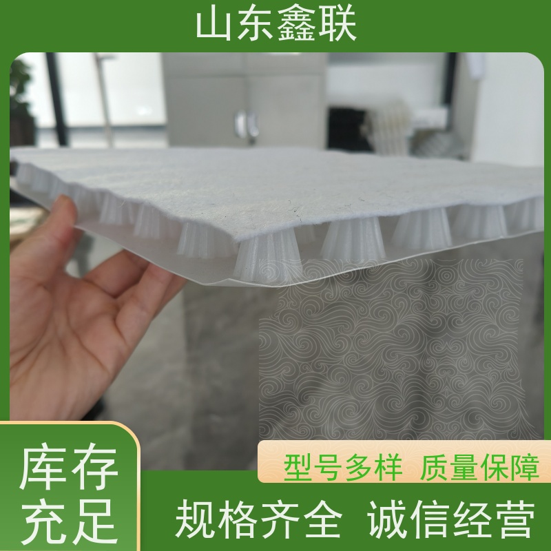 鑫联新材料 防护虹吸排水系统 厂家施工指导 H30双面排蓄水异形片
