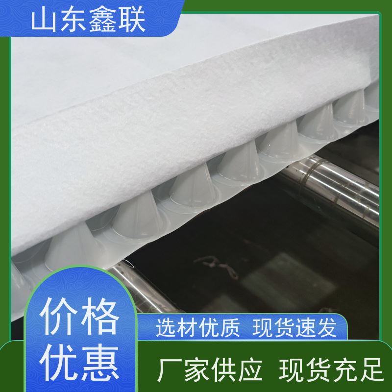 鑫联新材料 车库顶板虹吸排水系统 设计院认可 20高分子异型片材