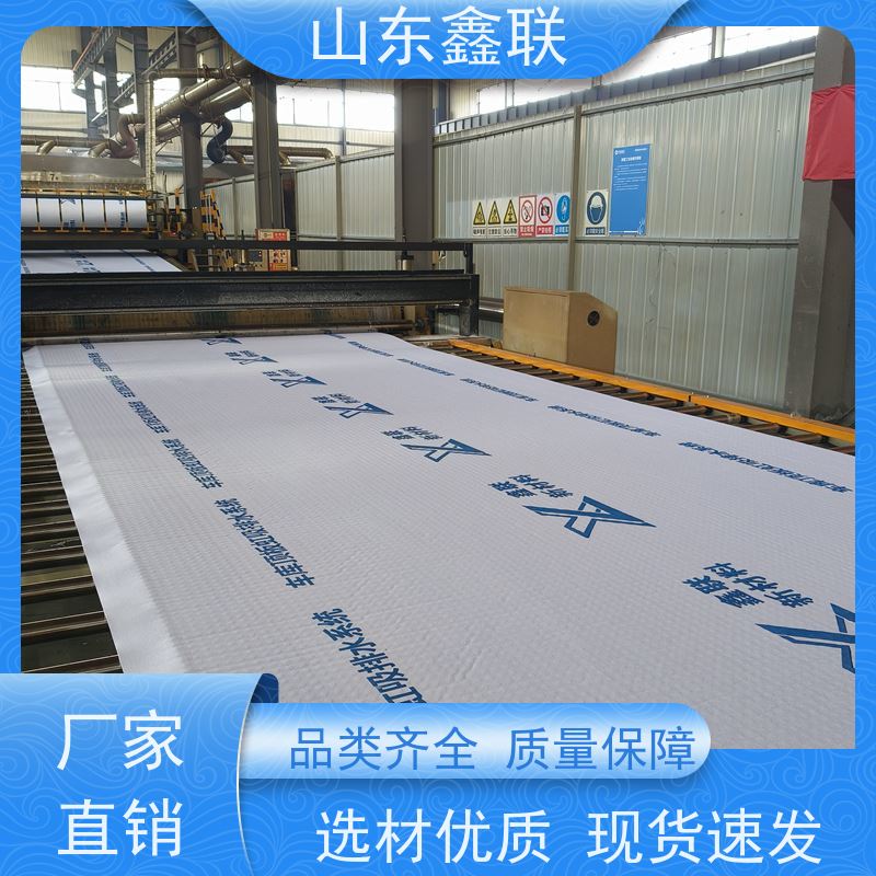鑫联新材料 车库虹吸系统 屋顶花园绿化 H25双面抗压排水异形片