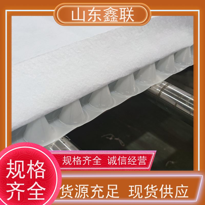 鑫联新材料 车库虹吸系统 百亩面积厂商 20高分子异型片材