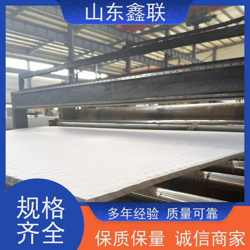 鑫联新材料 车库顶板虹吸排水 科研创新 15高板布一体疏水板