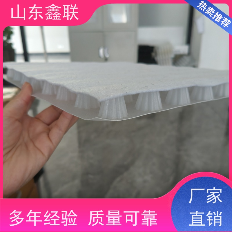 鑫联新材料 虹吸雨水排放系统 10年大厂品牌 15高板布一体疏水板