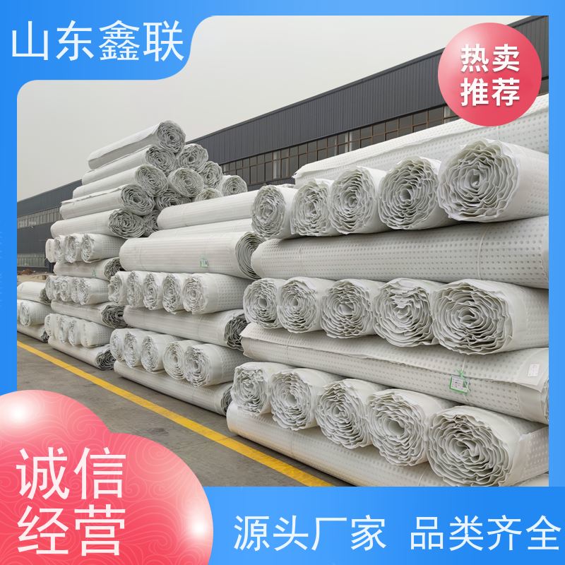 鑫联新材料 车库虹吸系统 大厂实力批发 H20高分子防排水保护异形片