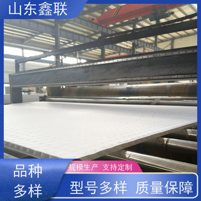鑫联新材料 虹吸雨水排放系统 中国绿色建材 15高板布一体疏水板