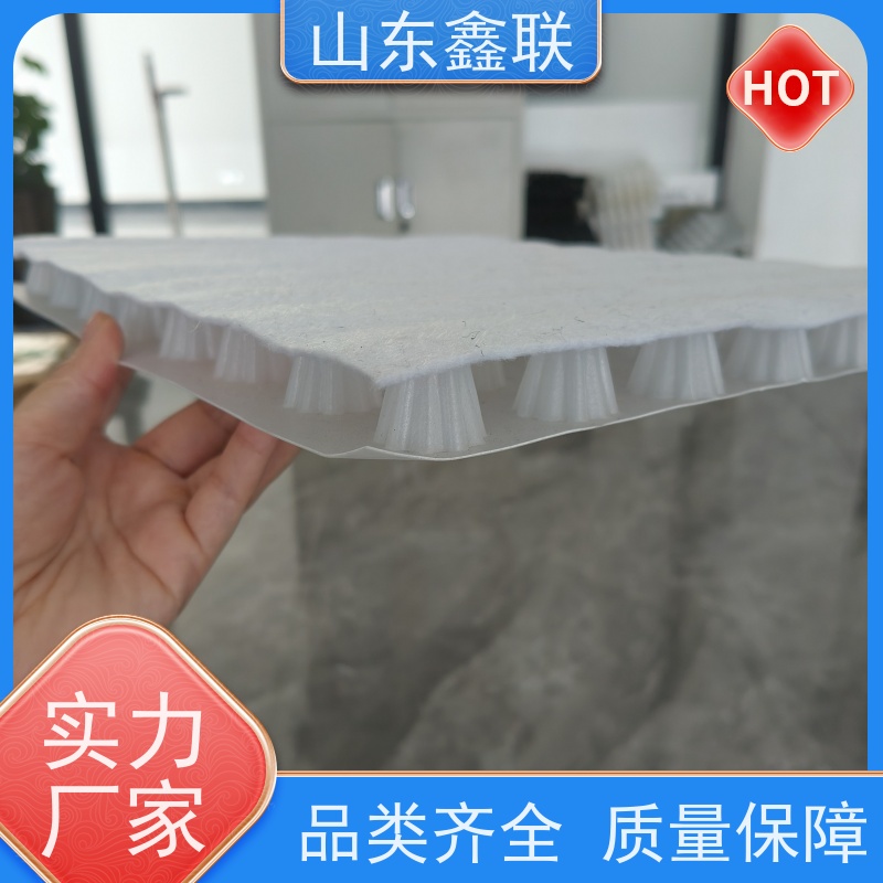 鑫联新材料 车库顶板虹吸排水系统 厂家施工指导 20高分子异型片材