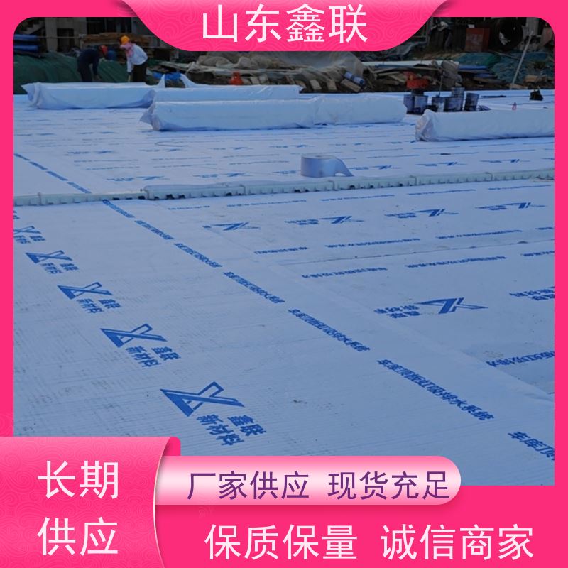 鑫联新材料 车库顶板虹吸排水系统 设计院认可 H30双面排蓄水异形片
