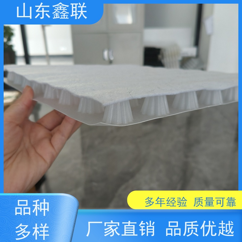 鑫联新材料 车库虹吸系统 10年大厂品牌 复合高分子防护排水异形片