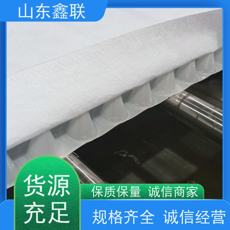 鑫联新材料 车库虹吸系统 专注生产供应 H25双面抗压排水异形片