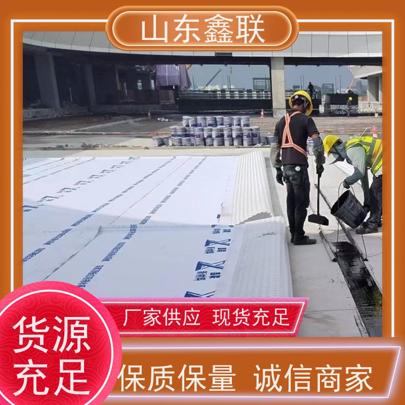 鑫联新材料 车库顶板虹吸排水系统 严选自营 20高分子异型片材