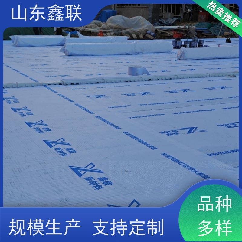 鑫联新材料 虹吸雨水排放系统 科研创新 复合高分子防护排水异形片