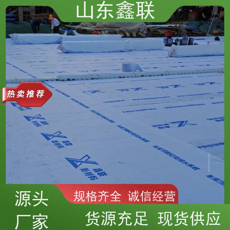 鑫联新材料 车库顶板虹吸排水 严选自营 20高分子异型片材
