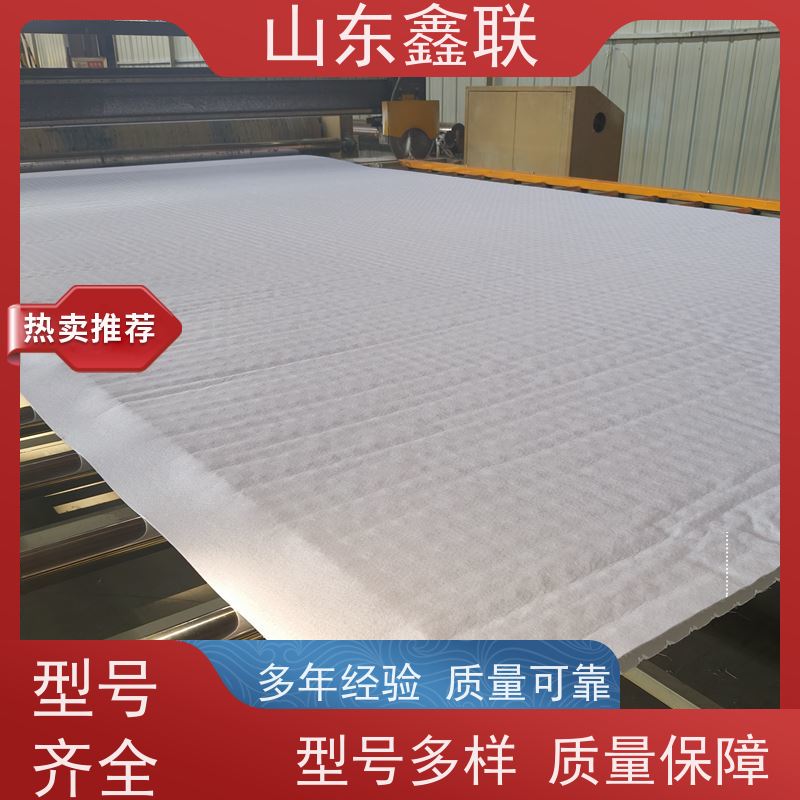 鑫联新材料 有序虹吸排水系统 大厂实力批发 H30双面排蓄水异形片