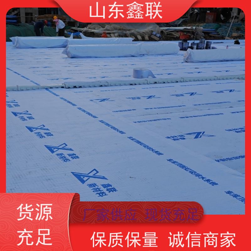 鑫联新材料 防护虹吸排水系统 科研创新 15高板布一体疏水板