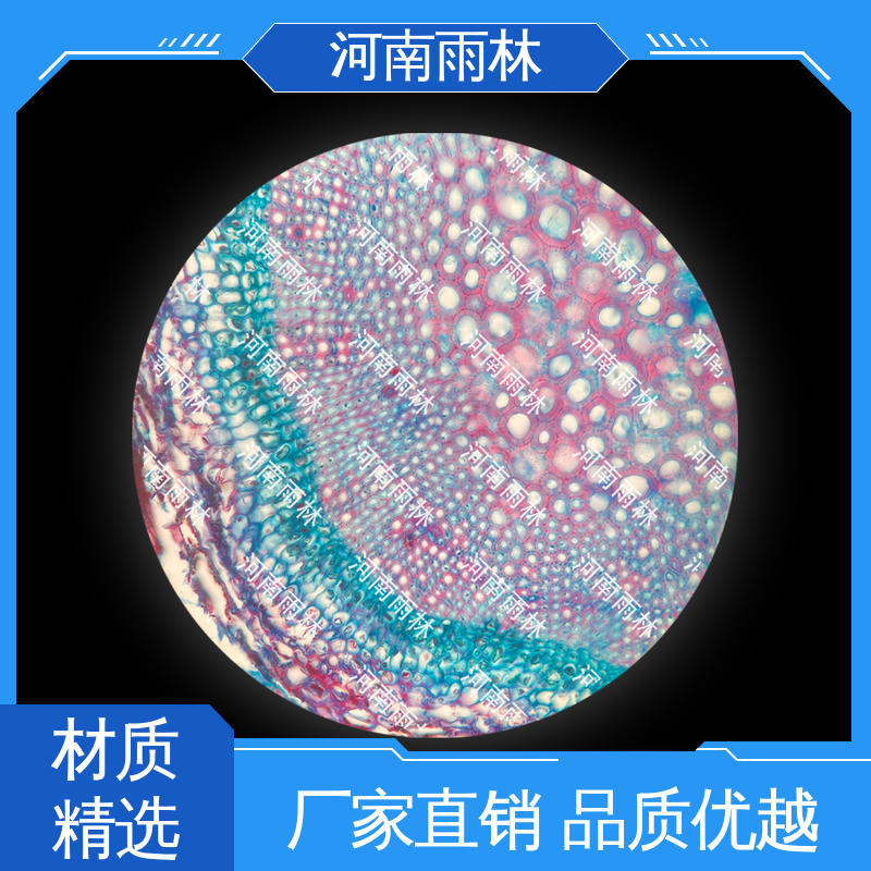 雨林教育工程 各类标本 专业 颜色鲜亮 可后期加工