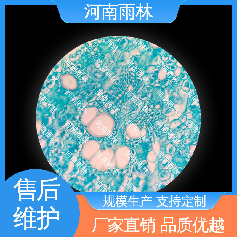切片安全 显微标本 售后无忧 源头工厂 雨林教育