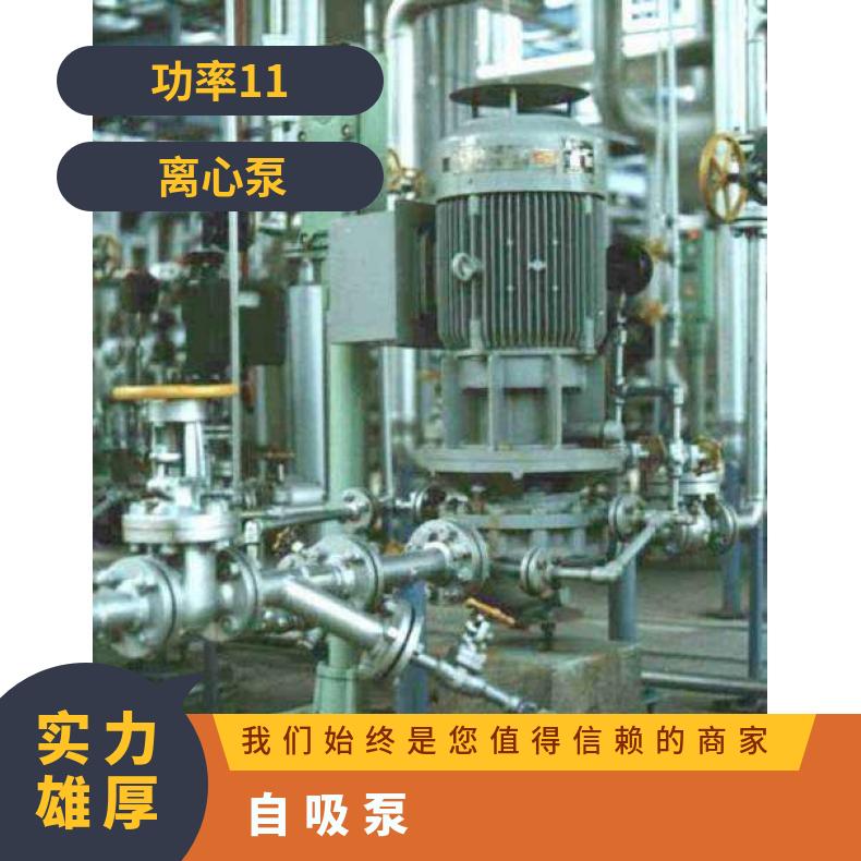 ARAI水泵维修保养 日本进口自吸泵 铸铁 双吸 arai pump 单级 常