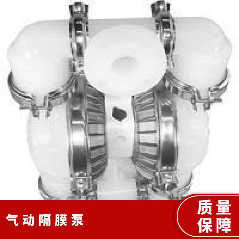 进口隔膜泵 威尔顿金属P025 15mL/h 单级 铸铁 是 气动 0.6Mpa
