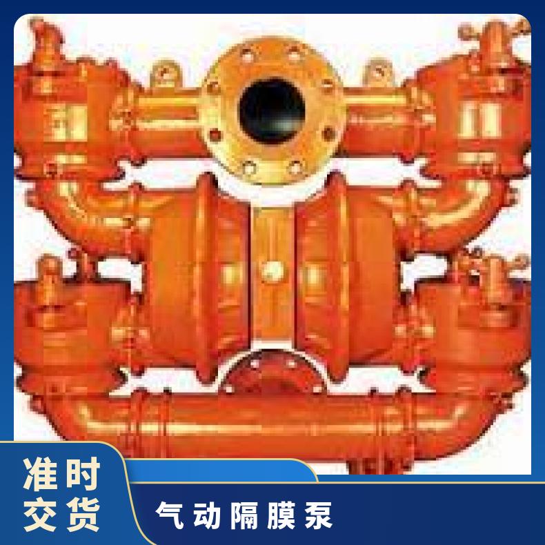 气动隔膜泵威尔顿 威尔顿塑料P100 15mL/h 0.6Mpa 是 单级 铸铁