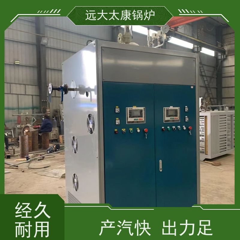 216KW 熟食竹笋加工 容水量＜30L 免报检 电阻蒸汽发生器