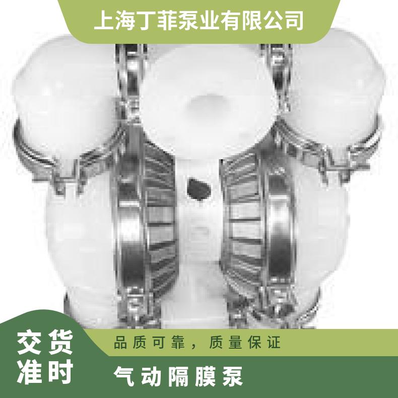 进口维修 Wilden卡箍式塑料隔膜 是 气动隔膜泵 威尔顿