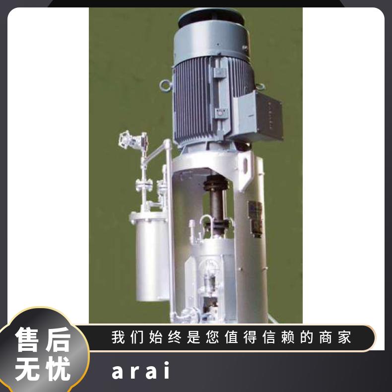 新井泵ARAI PUMP 原装进口定制焦炭粉碎 arai pump 铸铁 常温