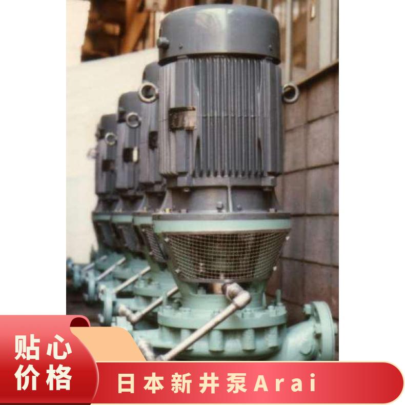 日本进口泵ARAI 定制熔硫 常温 潜水污水泵 arai pump 铸铁