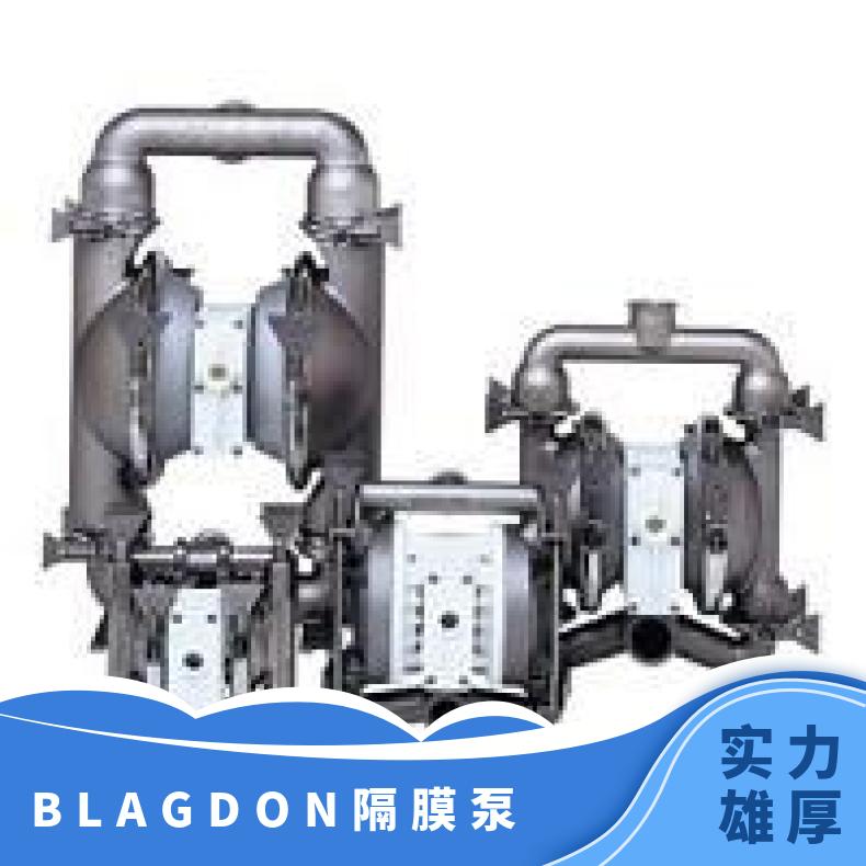 威尔顿气动双隔膜泵 塑料P100 单级 是 0.6Mpa 美国 15mL/h 铸铁