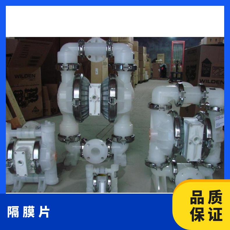 台湾若森JOSEN加药计量泵隔膜片JS300特氟龙膜片 品牌 Wilden威尔
