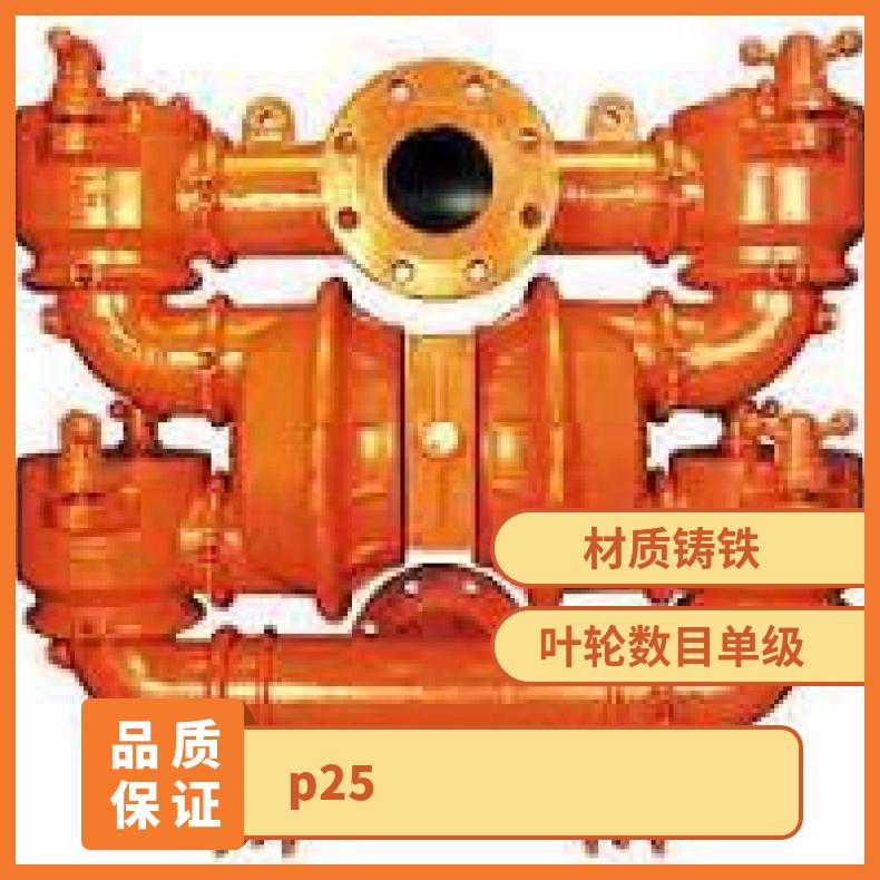 威尔顿气动隔膜泵 塑料P25 20*mm 0.6Mpa 铸铁 15mL/h 是 单级