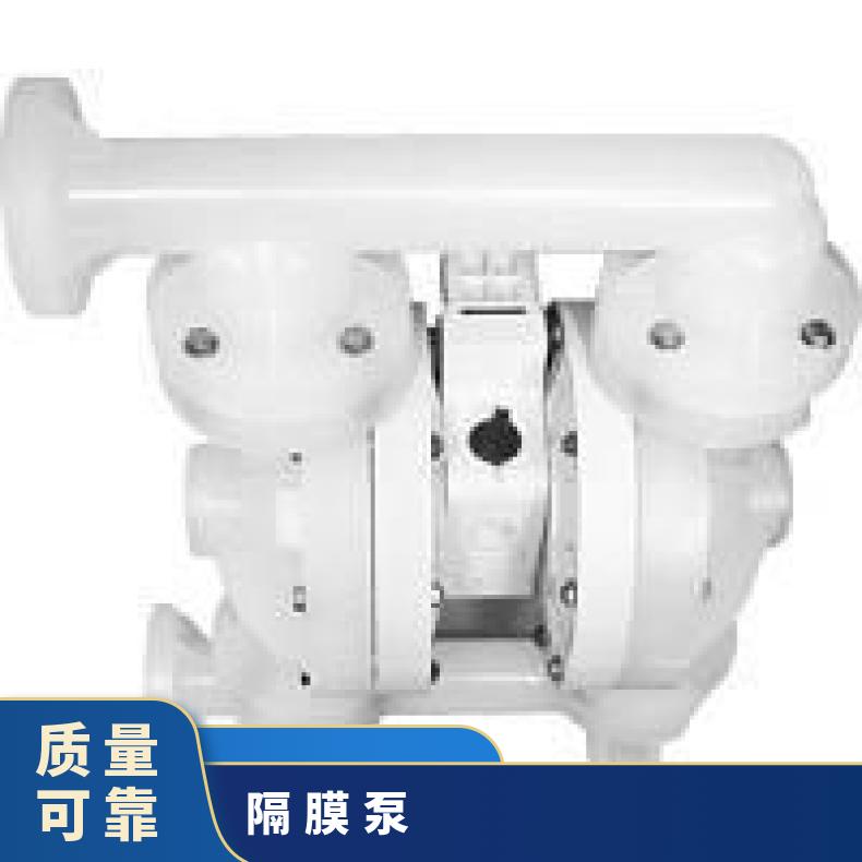 美国威尔顿气动隔膜泵 威尔顿P.025系列塑料