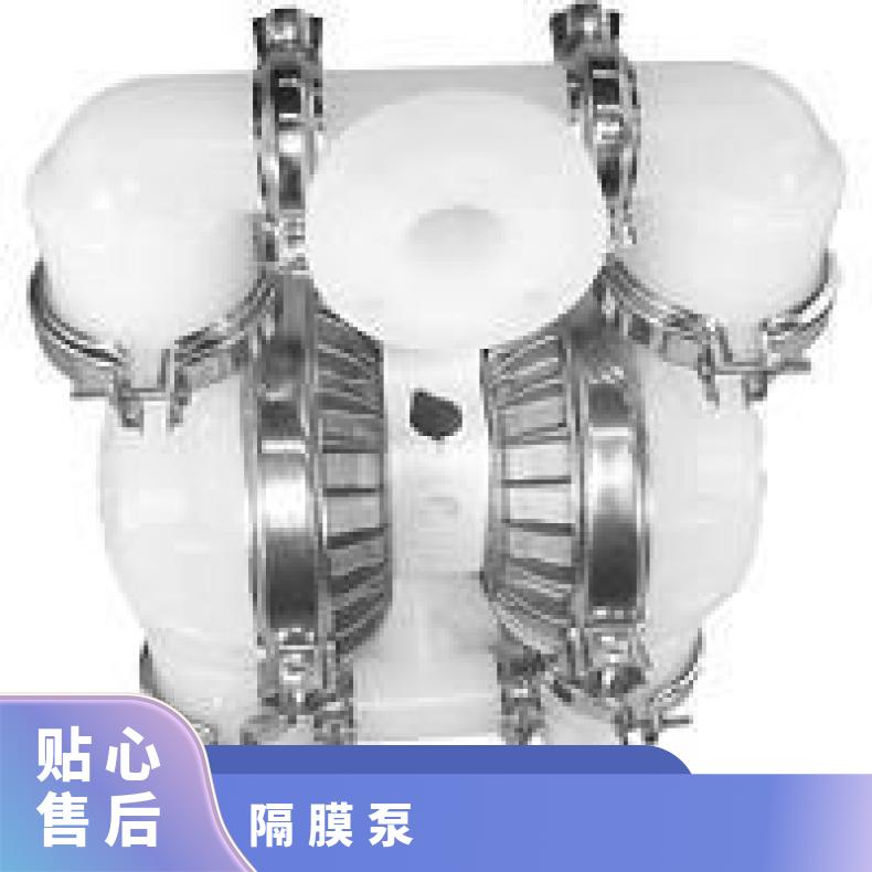 进口隔膜泵维修 威尔顿金属P8 单级 是 铸铁 15mL/h 气动 0.6Mpa