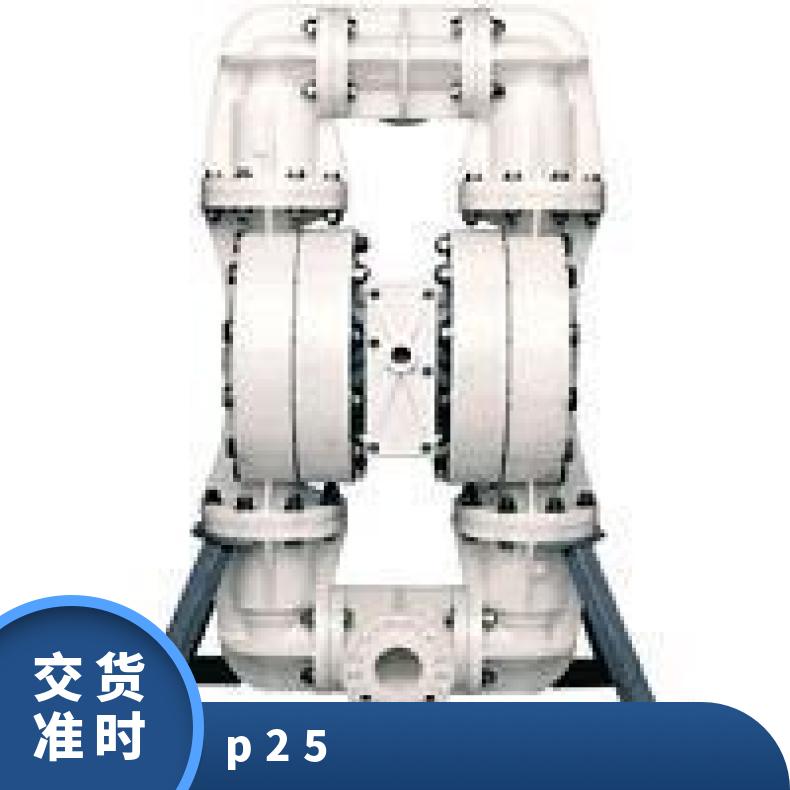 进口隔膜泵维修 威尔顿塑料P25 0.6Mpa 单级 是 15mL/h 气动 铸铁