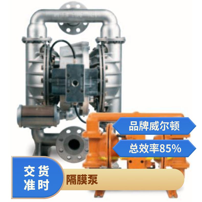 威尔顿气动双隔膜泵 塑料P800 单级 美国 是 0.6Mpa 15mL/h 铸铁