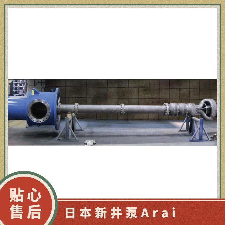 ARAI PUMP新井泵 定制熔硫 铸铁 常温 arai pump 潜水污水泵