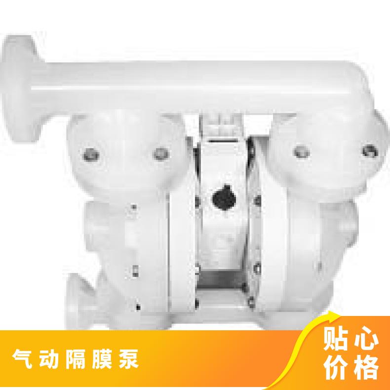威尔顿型号 P1系列塑料 是 15mm 单级 气动隔膜泵